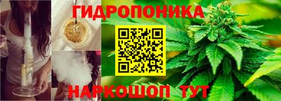 ГАЛЛЮЦИНОГЕННЫЕ ГРИБЫ Гагарин
